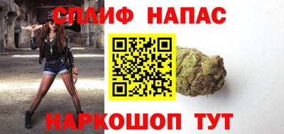 прущие грибы Кандалакша