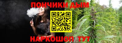 прущие грибы Кандалакша